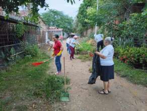 Enviromental Project Creating Green areas