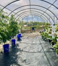Patrick J Bethel Highschool Hydroponics garden