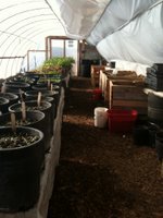 Extra Insulation for the Hoophouse