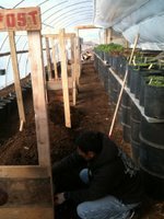 Preparing Beds for Early Spring Crops