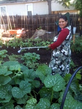 Community Steward Farmer Nahrmaya