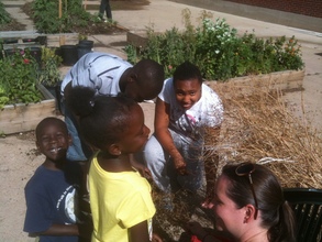 The Parking Lot kids saving cilantro seeds