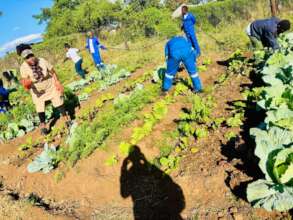 Agriculture skills development for youth offenders