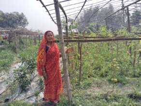 Five new demo farms like this one will be created!