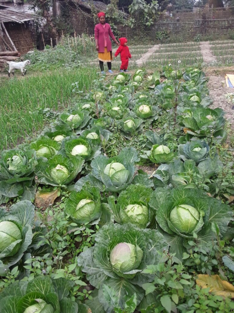 Nourishing Nepal: Food Security and Income Farming