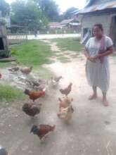 ETC's women's group member and her flock