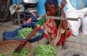 Nourishing Nepal: Food Security and Income Farming