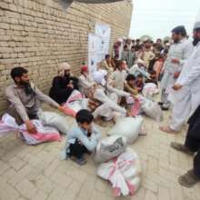 Distribution of food