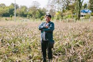 Win in his Pineapple Field