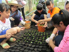 Planting Trees at the Resource Center