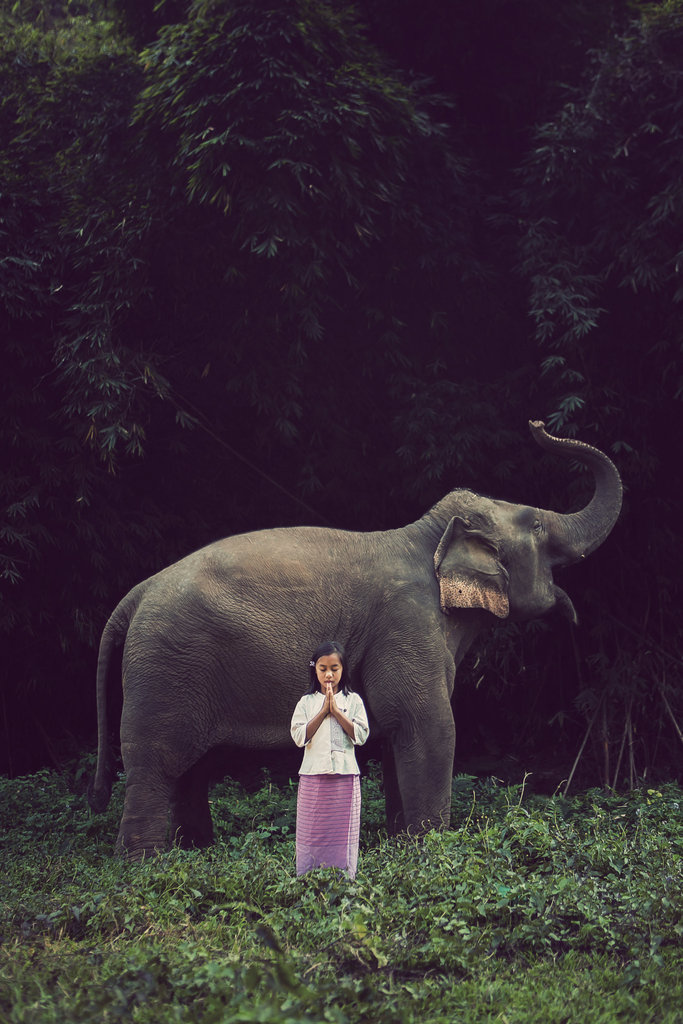 Child and Elephant
