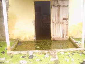 House 5