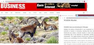 local and global new  on the murder of  Endemic An