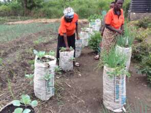 Urban gardening training