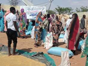 Providing food & cash assistance to families