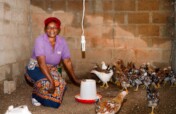 Empower rural women to build a poultry business