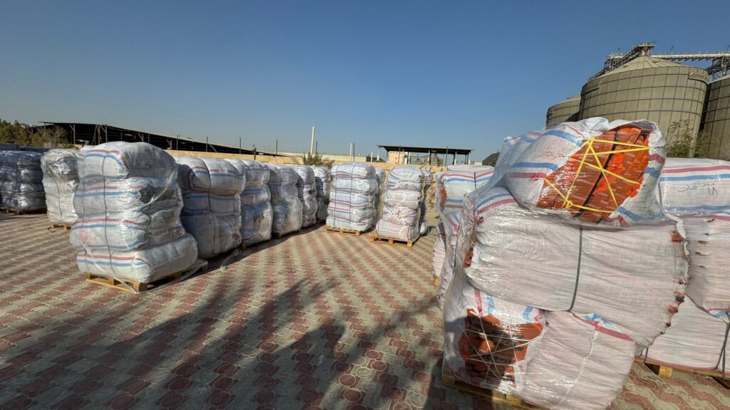 Winter Appeal For Gaza