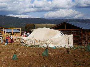 Jikaze Displacement Tents.