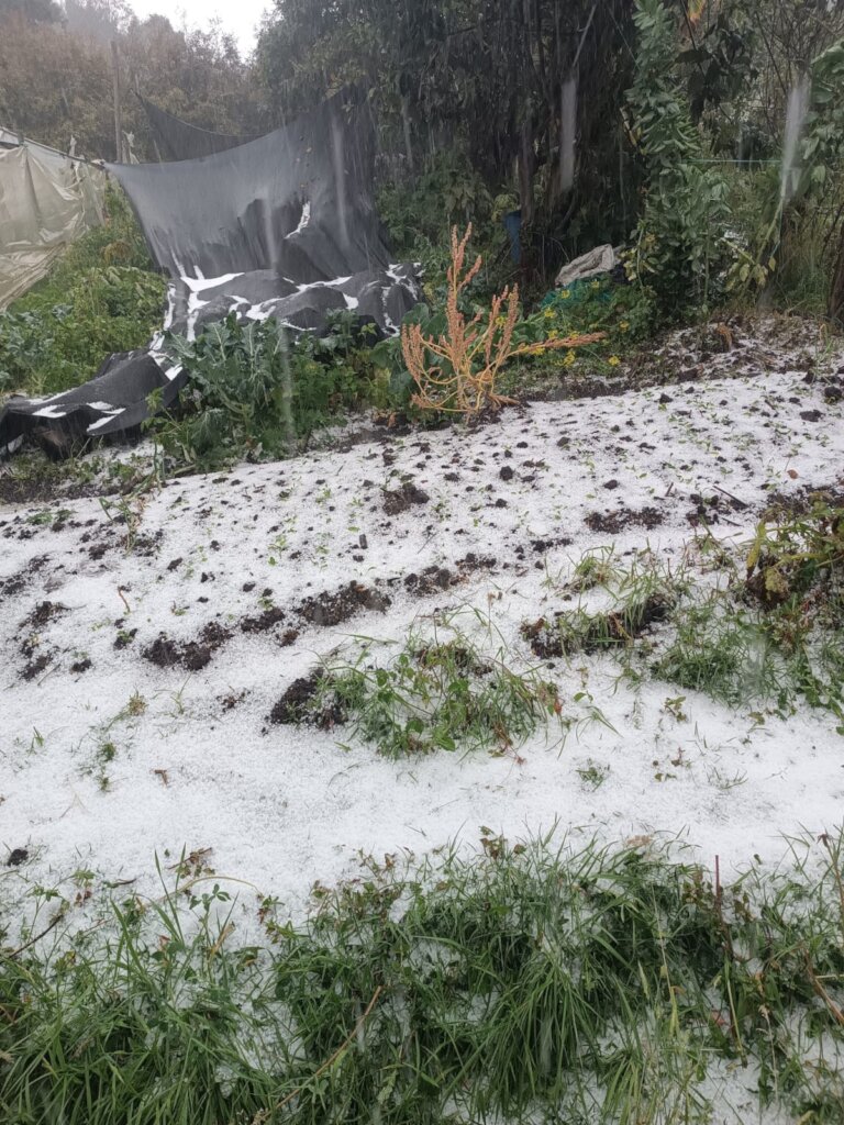 Empowering Small-Scale Farmers in Colombia