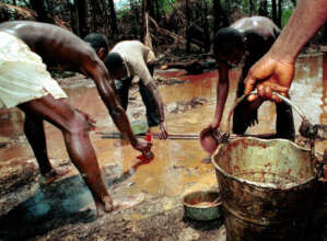 Empower&EducateYouths For global Climate Action