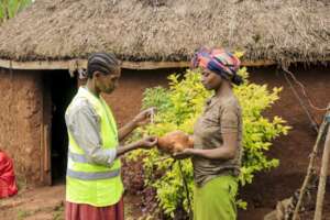 Empower Women as Poultry Health Champions