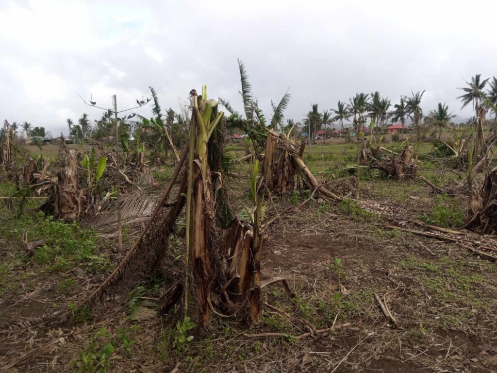 Grow kits for calamity-affected farmers