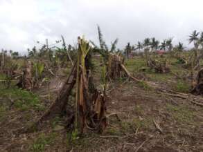 Grow kits for calamity-affected farmers
