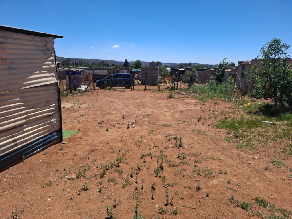 Phase 2: Let's put up their home!