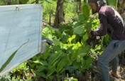 Tropical Storm Trami Recovery for Young Farmers