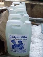 Gallons of Gadyen Dlo ready for distribution