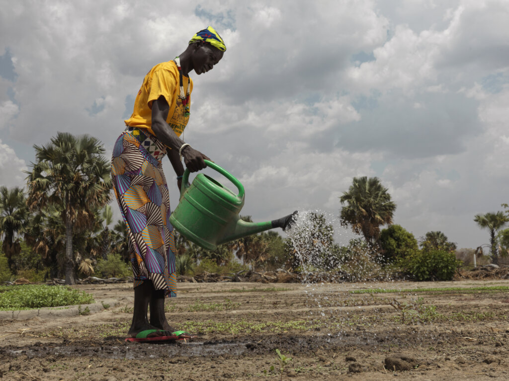 Help Us Create a World Free from Hunger- For Good