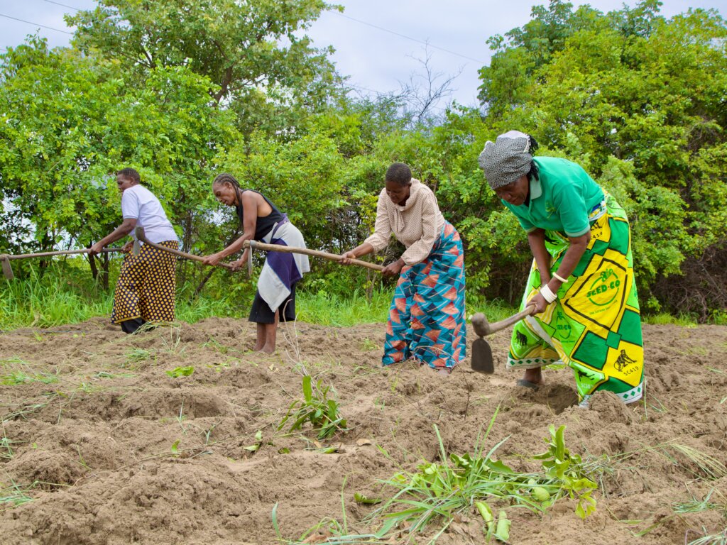 Help Us Create a World Free from Hunger- For Good