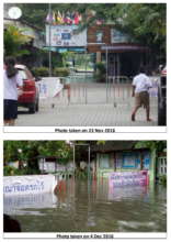 Before and After the Flood- Within the School