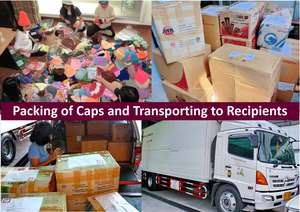 Packing and Transporting to Northern Destinations