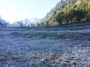Up in the Hills,Icicles found on the grass