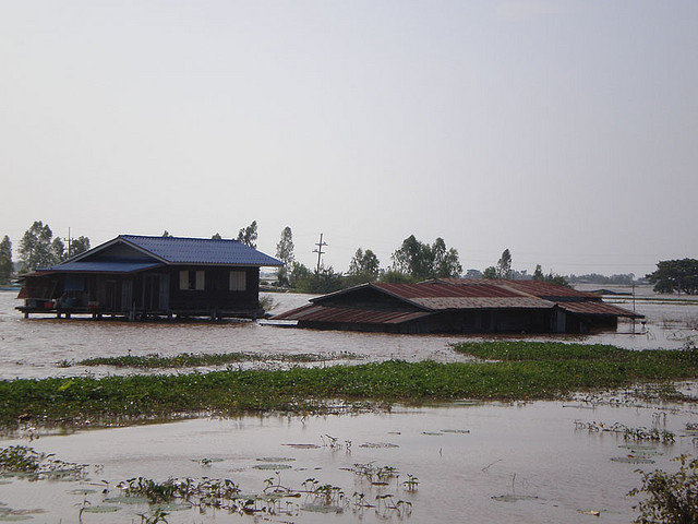 Blanket them With Love -Flood&Cold Relief Thailand