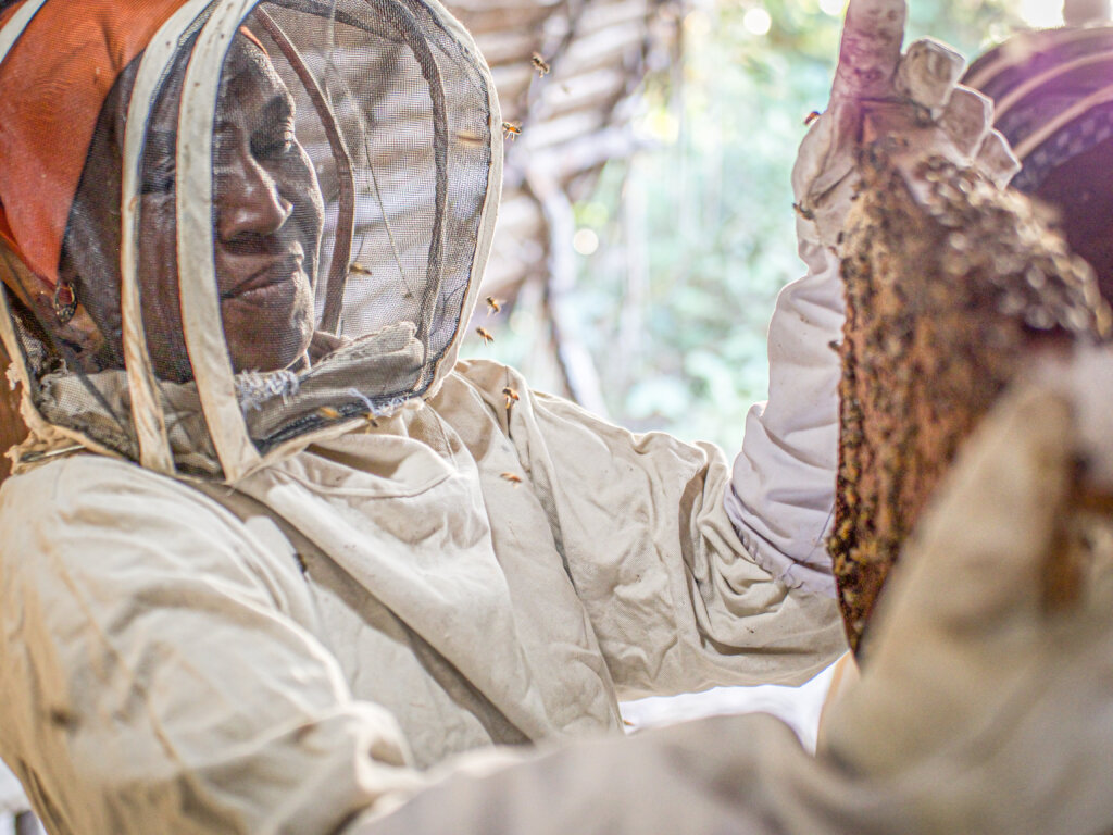 Train 50 Rural Women to Cultivate 12,500,000 Bees