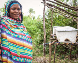 Beekeeper shows her hives at rural home, Tanzania