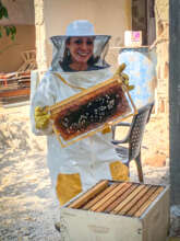 Almost time to harvest! Beekeeper in Jordan