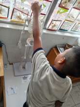 Studying the human skeleton