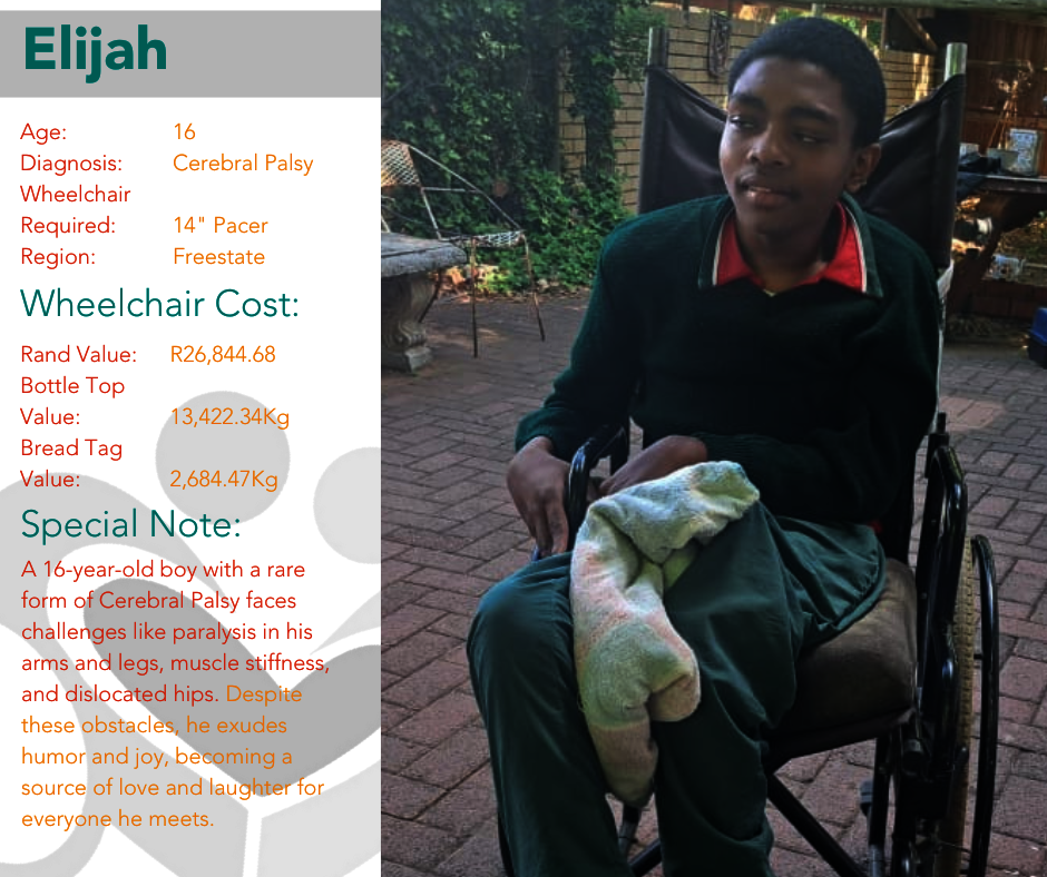 12 Days of Christmas: Wheelchair Edition 2024