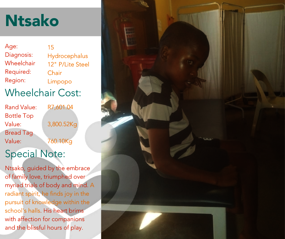12 Days of Christmas: Wheelchair Edition 2024