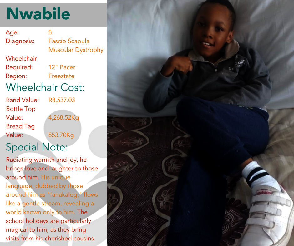 12 Days of Christmas: Wheelchair Edition 2024