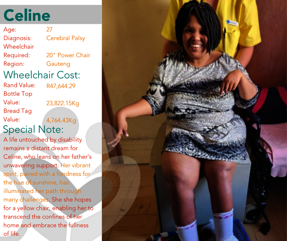 12 Days of Christmas: Wheelchair Edition 2024
