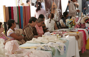 Provide jobs to 100 families in Mexico 