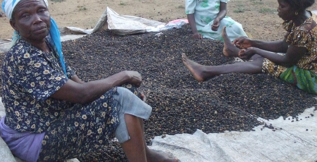 Help Over 50 Ghanaian Women Run a Small Business