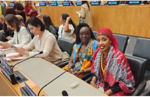 Attending Summit of the Future