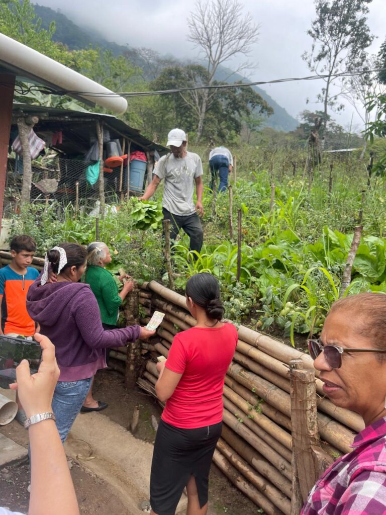 PREVEBA- Honduras