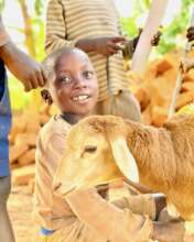 Rescued Goat from Slaughter