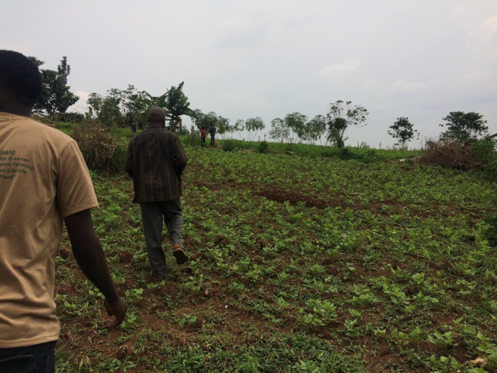 Rescue & Protect Animals in Rural Uganda